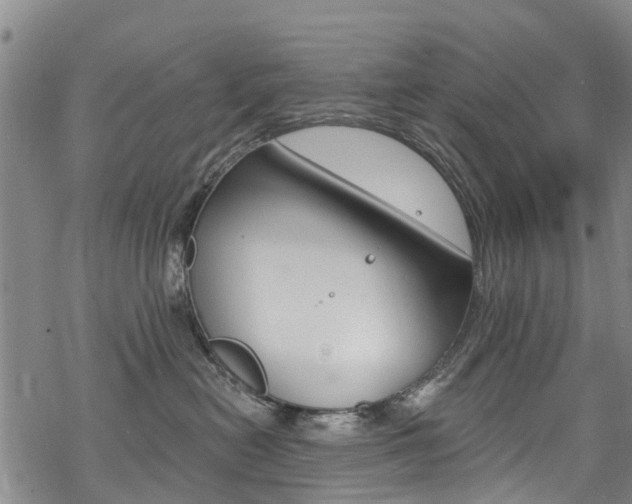 X0000068840478200605050948