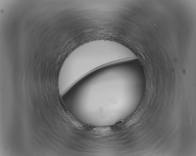 X0000068840480200605050948