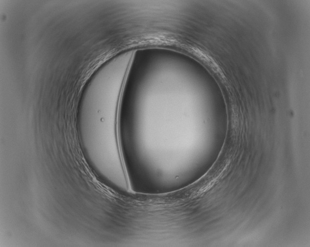 X0000068840481200605050947