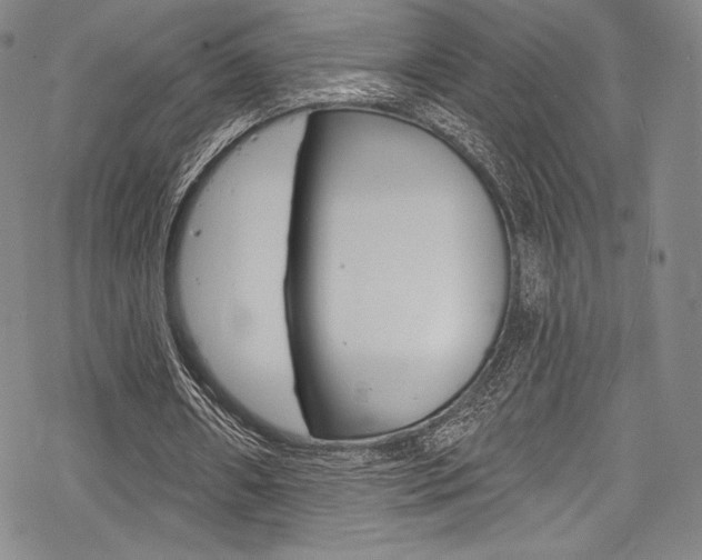 X0000068840482200605050947