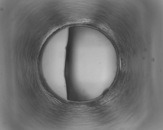 X0000068840483200605050947