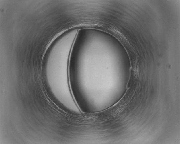 X0000068840484200605050947