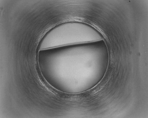 X0000068840485200605050947