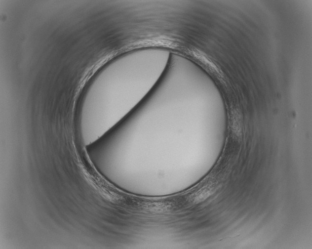 X0000068840486200605050947