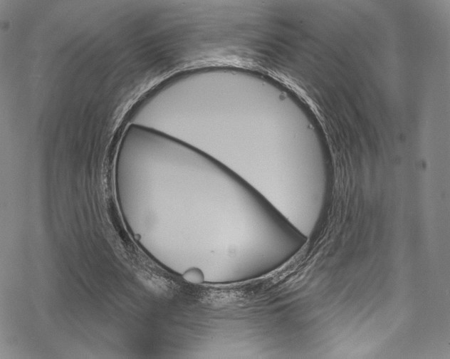 X0000068840487200605050947