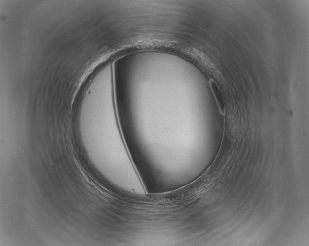 X0000068840488200605050947