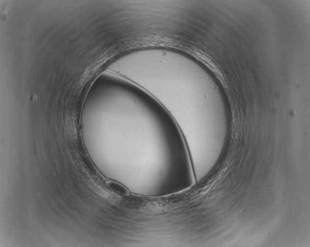 X0000068840489200605050947