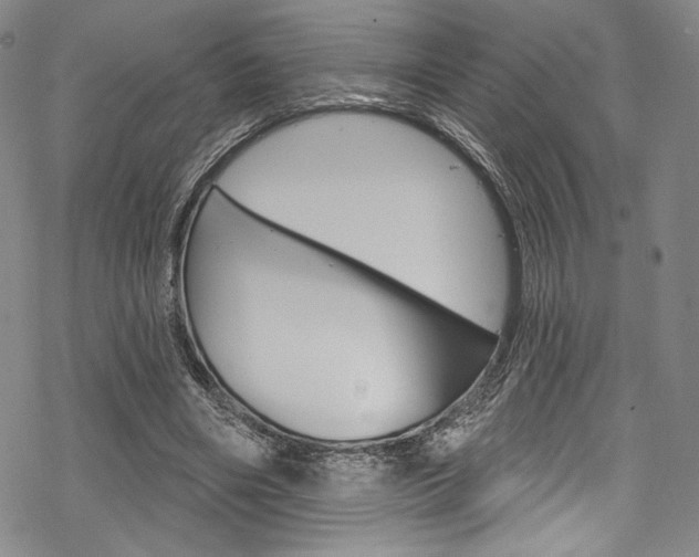 X0000068840490200605050947