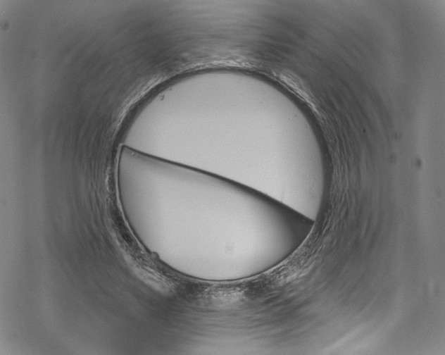 X0000068840491200605050947