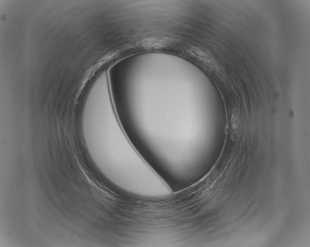 X0000068840492200605050947