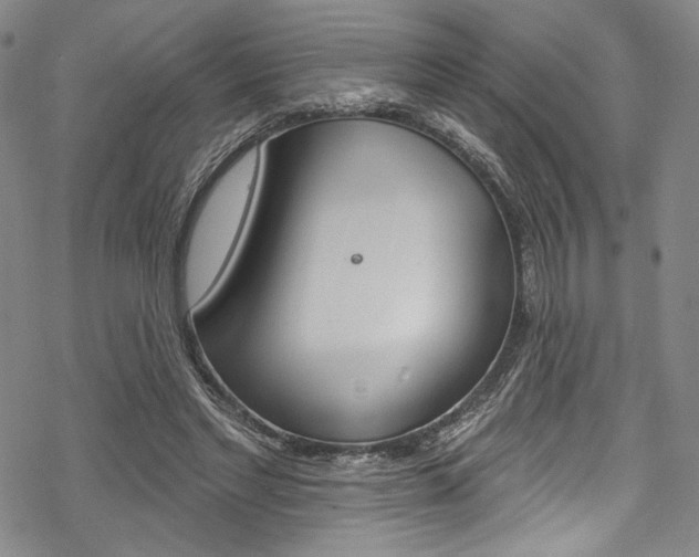 X0000068840493200605050947