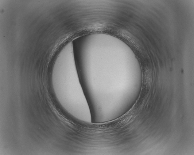 X0000068840494200605050947