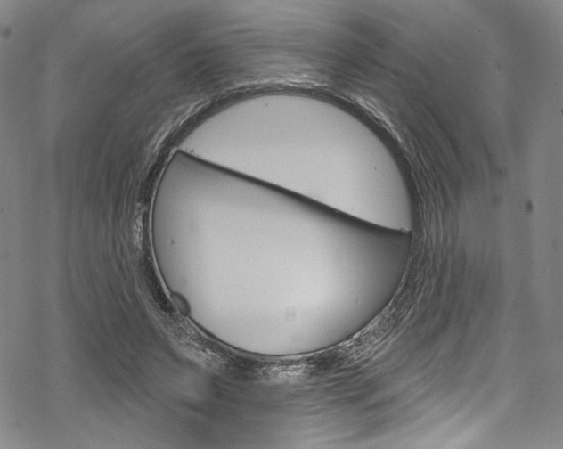 X0000068840495200605050947