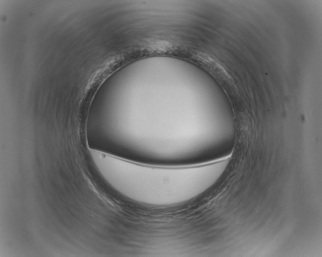 X0000068840496200605050947