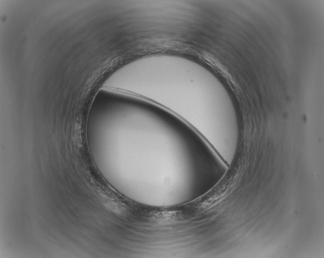 X0000068840497200605050947