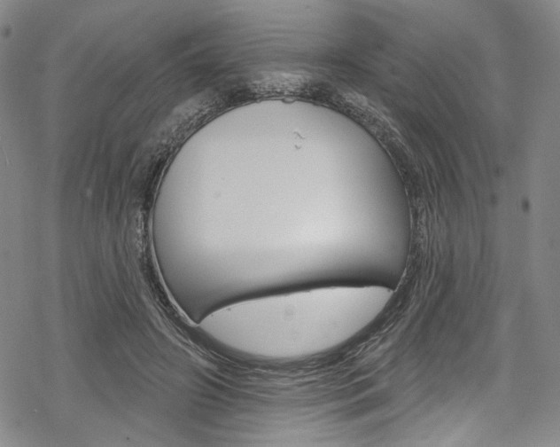 X0000068840498200605050947