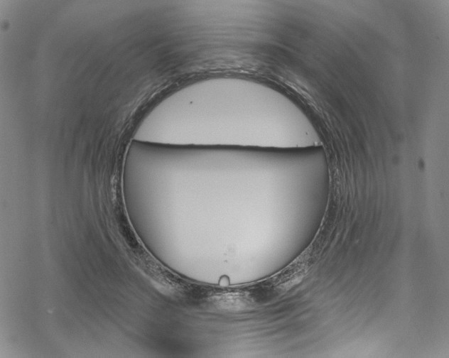 X0000068840499200605050947