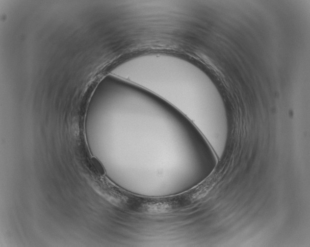 X0000068840500200605050947