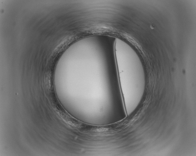 X0000068840501200605050947