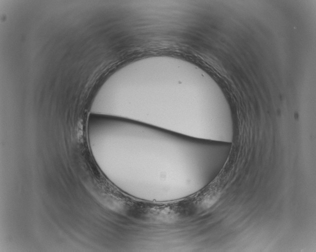 X0000068840502200605050947