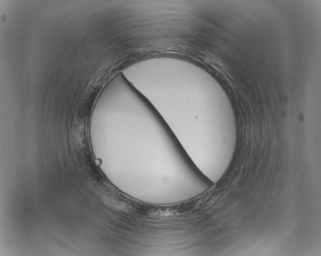 X0000068840503200605050947