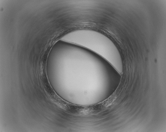 X0000068840504200605050947