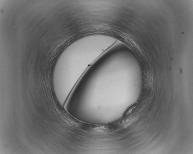 X0000068840505200605050947