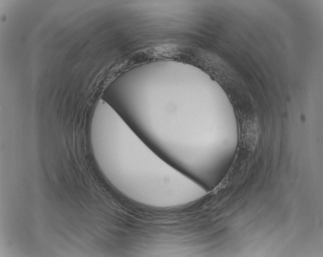 X0000068840506200605050947