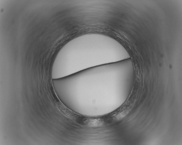 X0000068840507200605050947