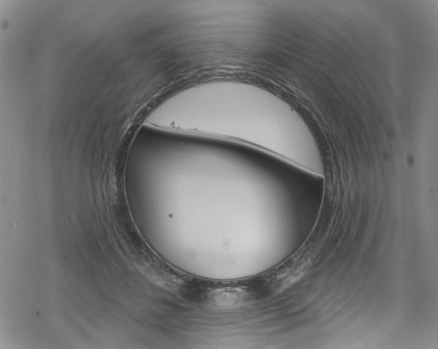 X0000068840508200605050947