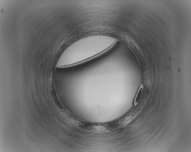 X0000068840509200605050947