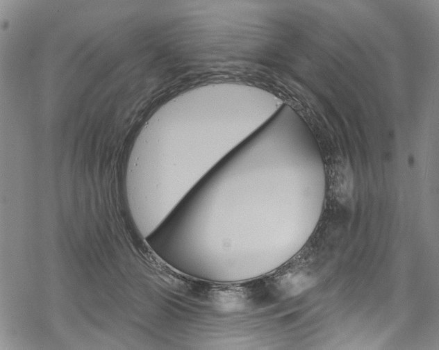 X0000068840510200605050947