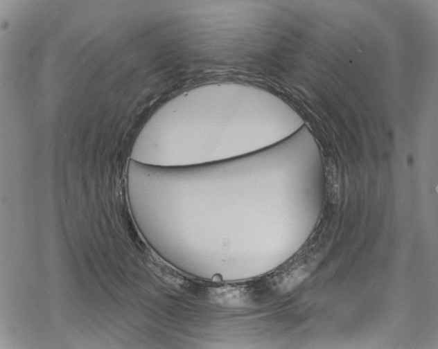 X0000068840511200605050947