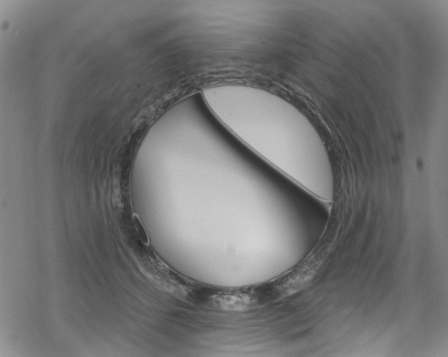 X0000068840512200605050947