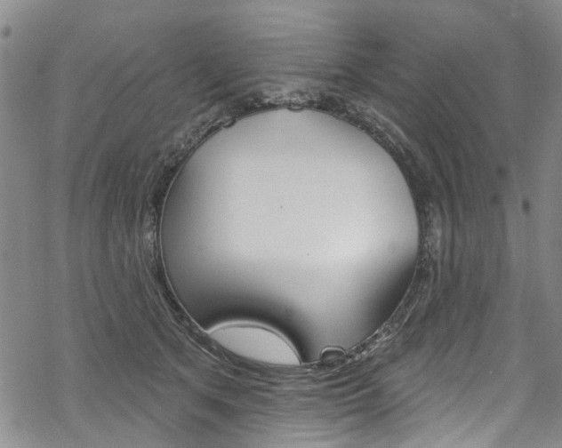 X0000068840513200605050947