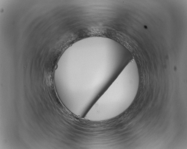 X0000068840514200605050947