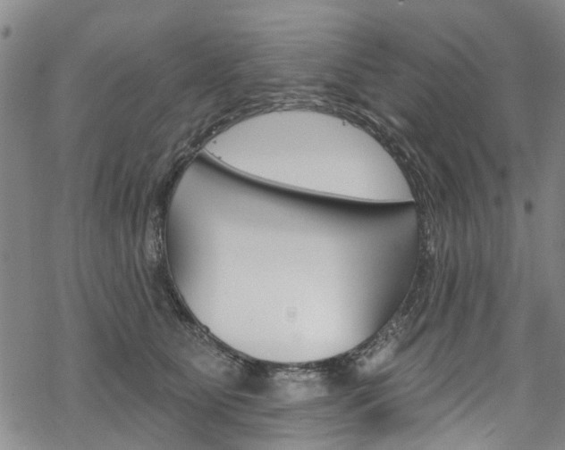 X0000068840515200605050947