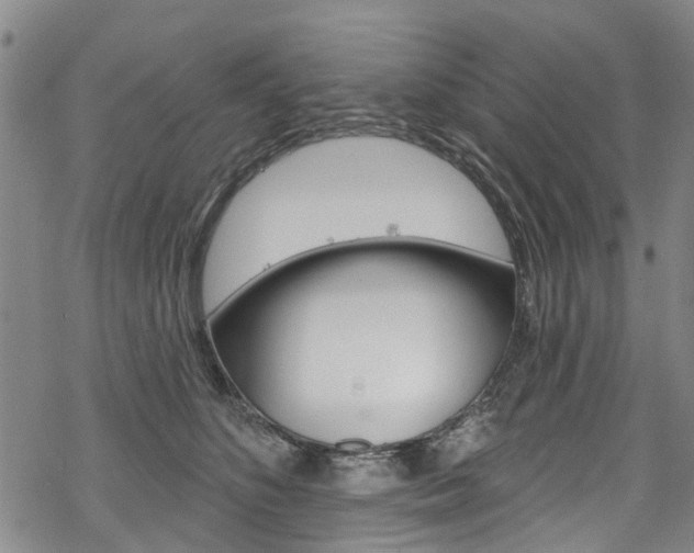 X0000068840516200605050947