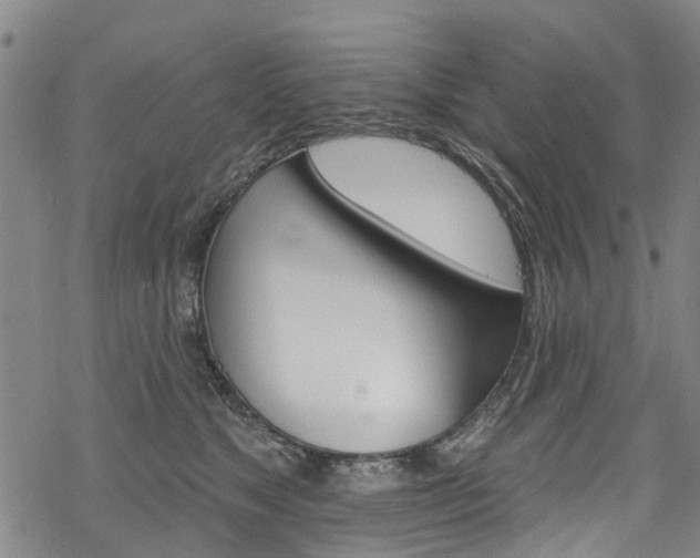 X0000068840517200605050947