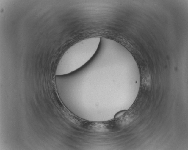 X0000068840518200605050947