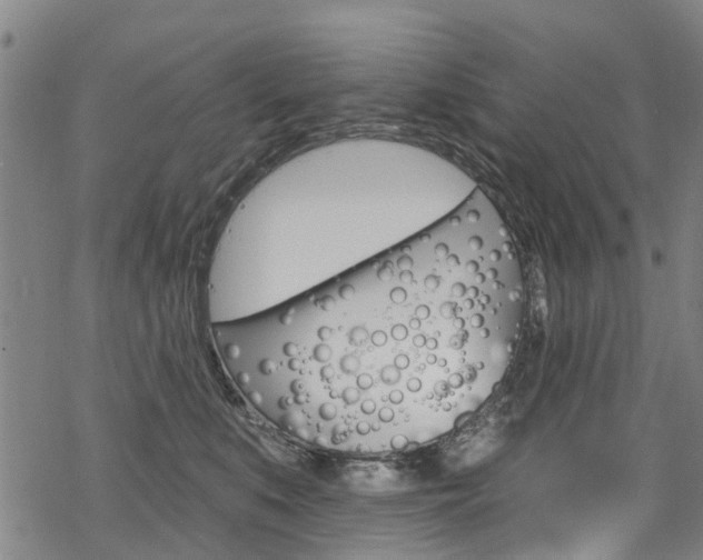 X0000068840519200605050947