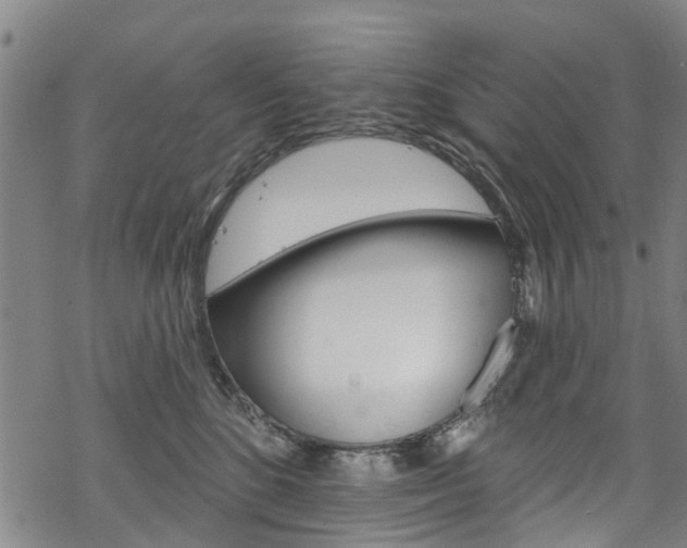 X0000068840520200605050947