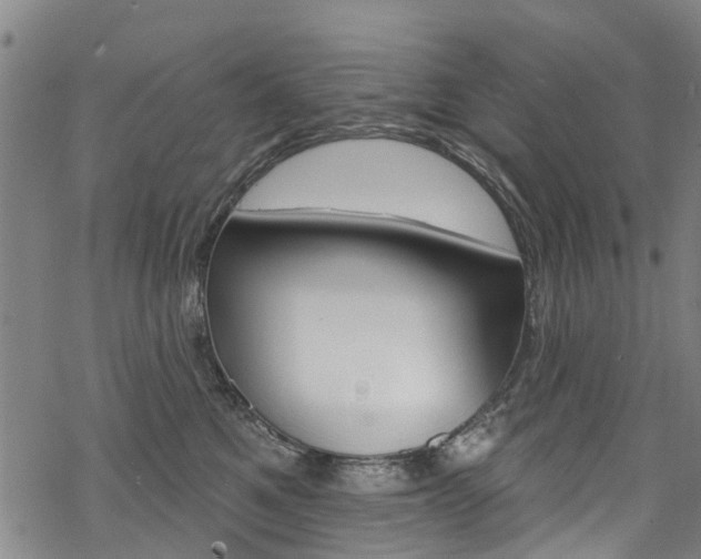 X0000068840521200605050947