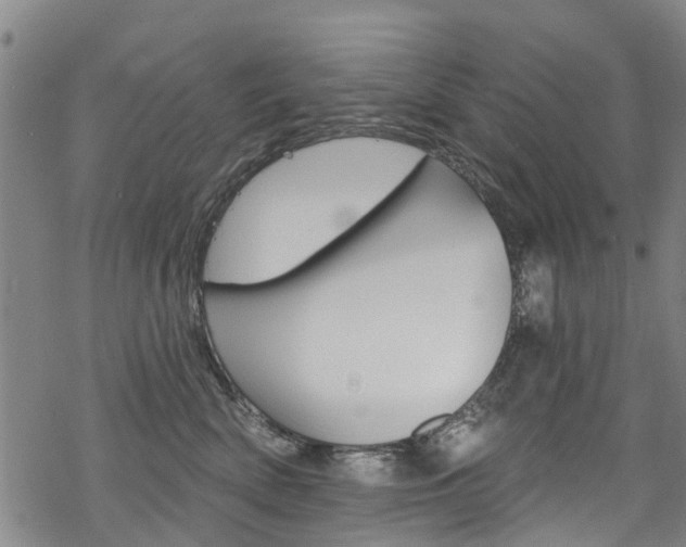 X0000068840522200605050947