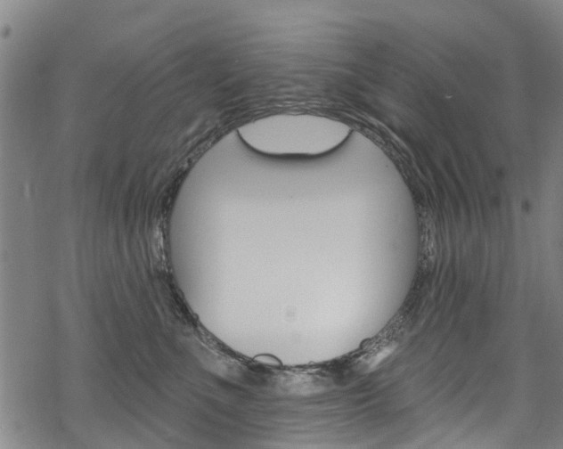 X0000068840523200605050947