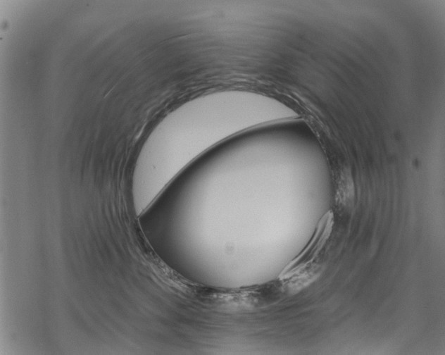 X0000068840524200605050947