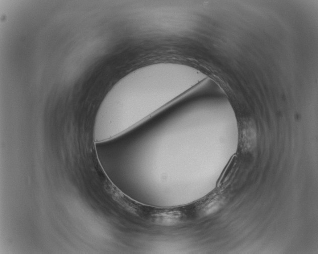 X0000068840525200605050947