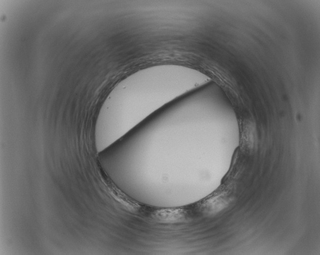 X0000068840526200605050947