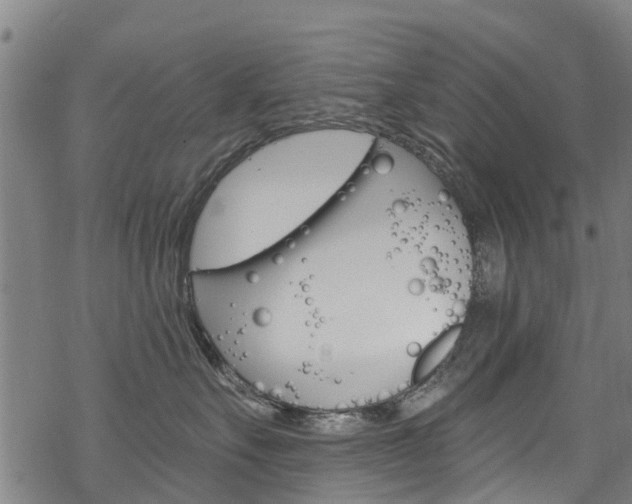 X0000068840527200605050947