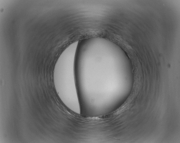 X0000068840528200605050947